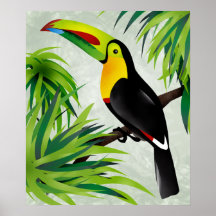 Jungle Toucan Print