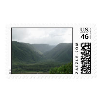 Jungle Valley postage