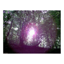 Jungly Sun posters