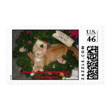 Junior at christmas, Black and Orange Cat Found... Postage