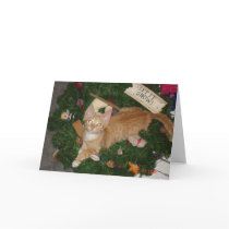 Junior at christmas cards