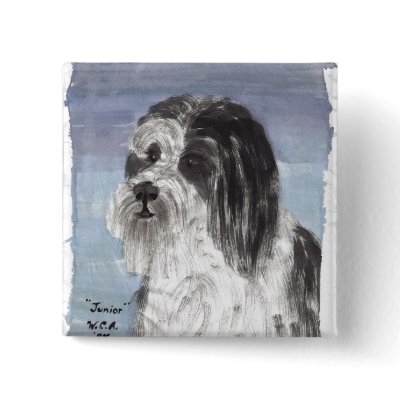 Junior the Bearded Collie Pinback Button by pidgiefund
