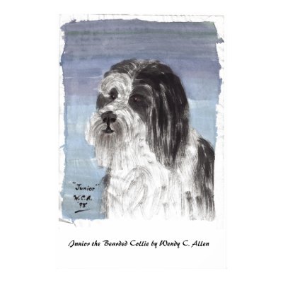 Junior The Bearded Collie by Wendy C. Allen Posters by pidgiefund