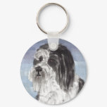 Junior the Bearded Collie Junior the Bearded Collie