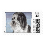 Junior the Bearded Collie Junior the Bearded Collie