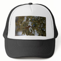 Juniper Berries hats