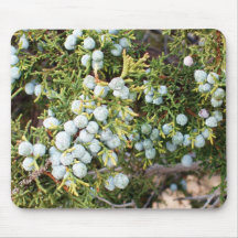 Juniper Berries Mouse Pad