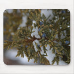 Juniper Berries Mouse Pad