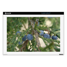 Juniper Berry 17" Laptop Skins