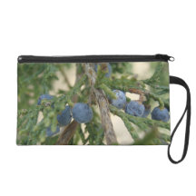 Juniper Berry Bagettes Bag Wristlet Purses