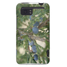 Juniper Berry HTC Vivid Case