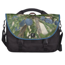 Juniper Berry Laptop Bag