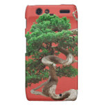 Juniper bonsai motorola droid RAZR cases