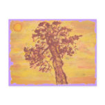 juniper tree sunset postcard