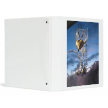 Junk Love Vinyl Binders