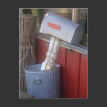 "Junk Mail" Photography Postcard