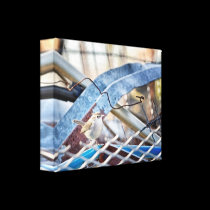 Junkyard Wren  canvas wrap canvas prints