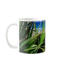 Juno Beach Florida Mugs