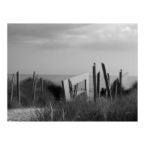 Juno Beach posters by MandaOlie Juno Beach posters