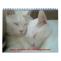 Jupiter and Kona's 2011-2012 Kitty Calender Calendar