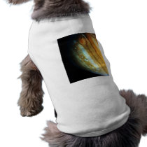 Jupiter Close-Up pet clothing