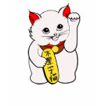Jupiter Kitten Lucky Cat T-shirt