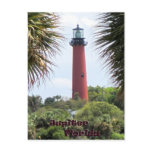 Jupiter Lighthouse through the Palms Postcard