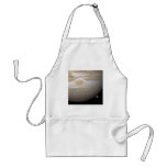 Jupiter occults Ganymede aprons