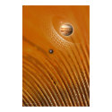 Jupiter Rising by Gregory Gallo posters