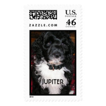 Jupiter the Dog postage