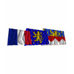 Jura, Franche-Comté &amp; France flags T Shirt