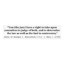Jury Nullification State of Georgia vs Brailsford Photo Art