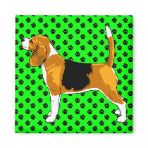 Just a Beagle Magnet