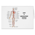 Just A Circulatory System (Arteries Circulation) Greeting Cards