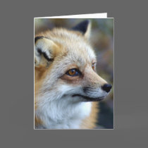 Just a cute little Fox cards