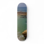 Just A Few Seals In The Cove Skate Board