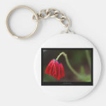 Just a flower – Red flower Poppy 012 Keychain