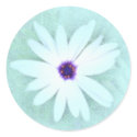 Just a flower stickers