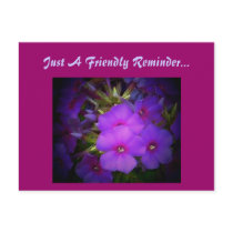 Just A Friendly Reminder...Postcard postcards