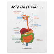 Just A Gut Feeling... (Digestive System Humor) Personalized Flyer