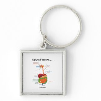 Just A Gut Feeling... (Digestive System Humor) keychain