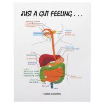 Just A Gut Feeling... (Digestive System Humor) Letterhead Template