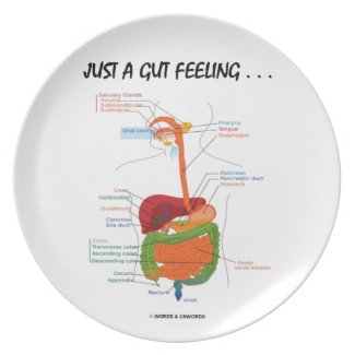 Just A Gut Feeling... (Digestive System Humor) Party Plate