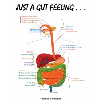 Just A Gut Feeling... (Digestive System Humor) shirt