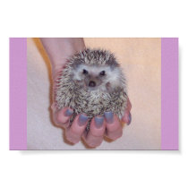 Just a Handful Hedgehog posters