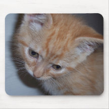 Just a Kitten Mouse Pad