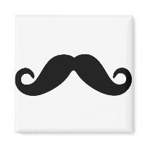 just a mustache magnet
