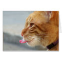 Just A Note_ Card_by Elenne Boothe