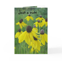 Just a Note Card/Yellow Coneflowers
