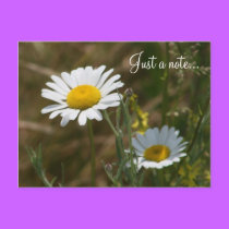 Just a note... postcards
